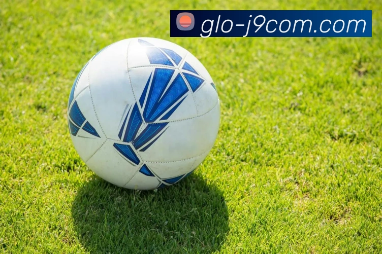 App Interface Preview